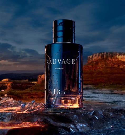 parfum dior pour homme eau sauvage|Dior Sauvage the perfume shop.